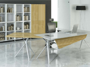 Fashion Executive Desk